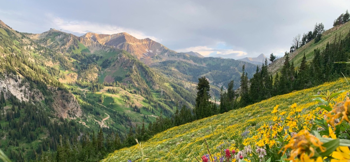 Mountain Basecamp, Little Cottonwood Canyon, Utah